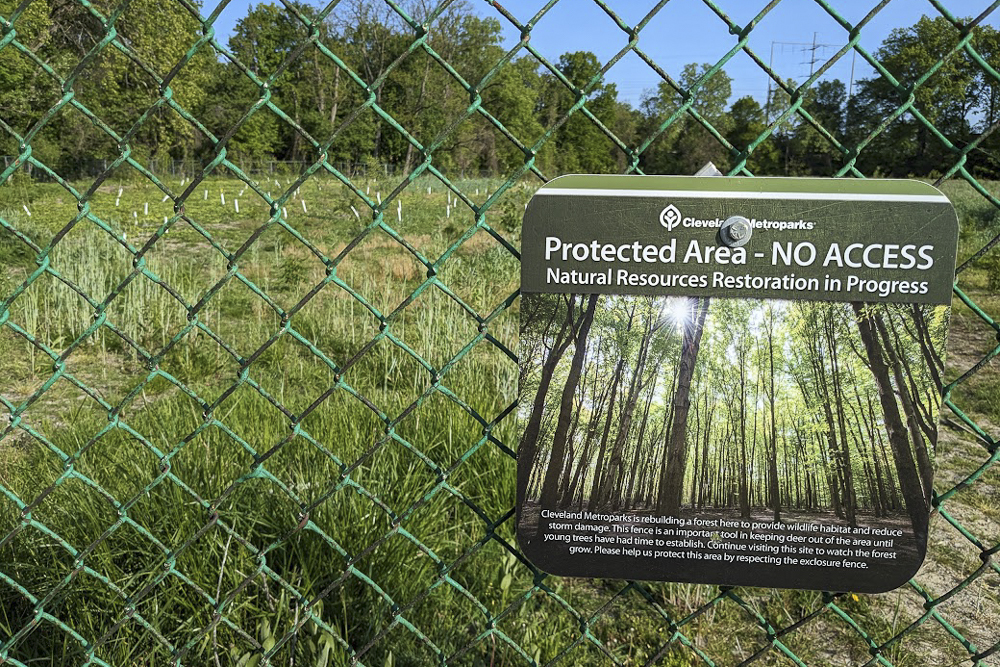 The former Euclid Central Middle School site is becoming a park